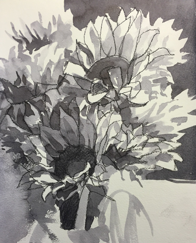 sunflowers-5