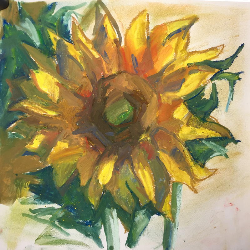 sunflowers-6
